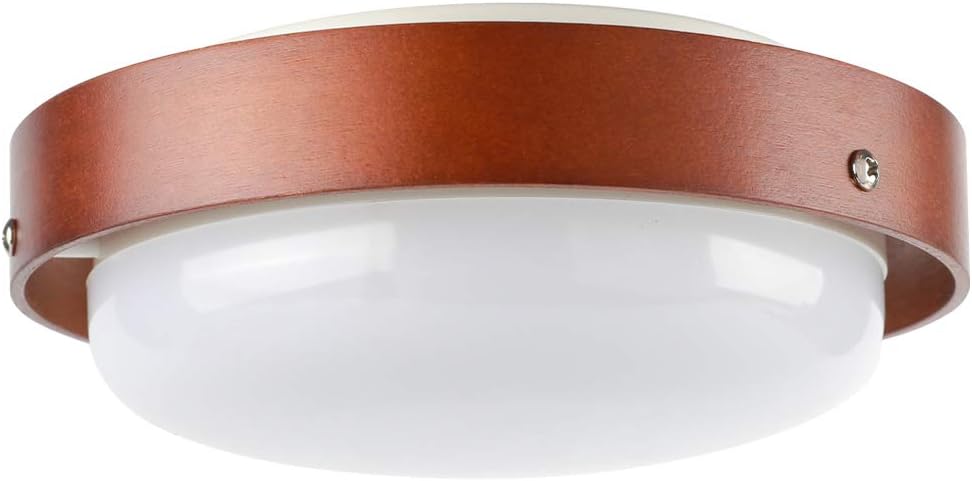 【非公開クーポン】 Dotoy LEDシーリングライト