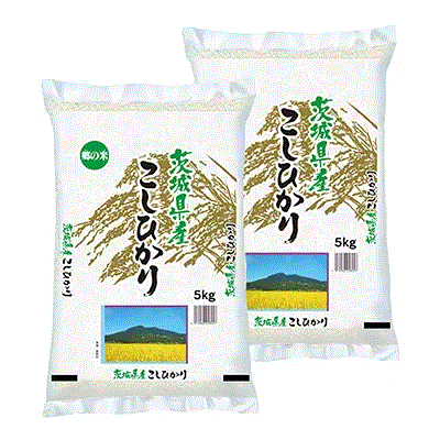 【本日5倍】【3,000円】 茨城県産 令和2年産 コシヒカリ 精米 10kg （5kgX2袋） 【送料無料】