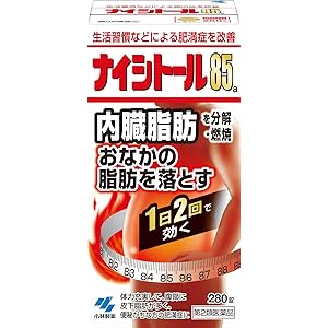 【40%OFF】【2,719円】 小林製薬 第2類医薬品 ナイシトール85a 280錠